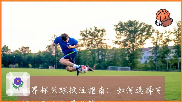世界杯买球投注指南：如何选择可信的平台与最佳策略