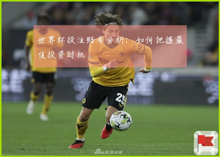世界杯投注赔率分析：如何把握最佳投资时机