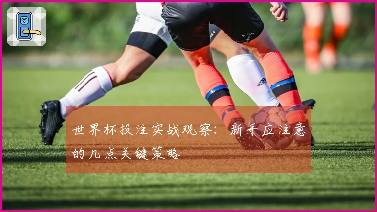 世界杯投注实战观察：新手应注意的几点关键策略